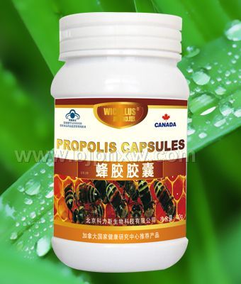 蜂胶软胶囊 国食健字——华夏外用产品招商网