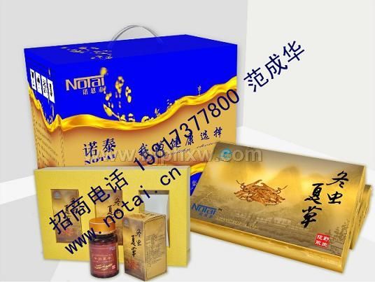 冬虫夏草胶囊补肾精品——华夏外用产品招商网