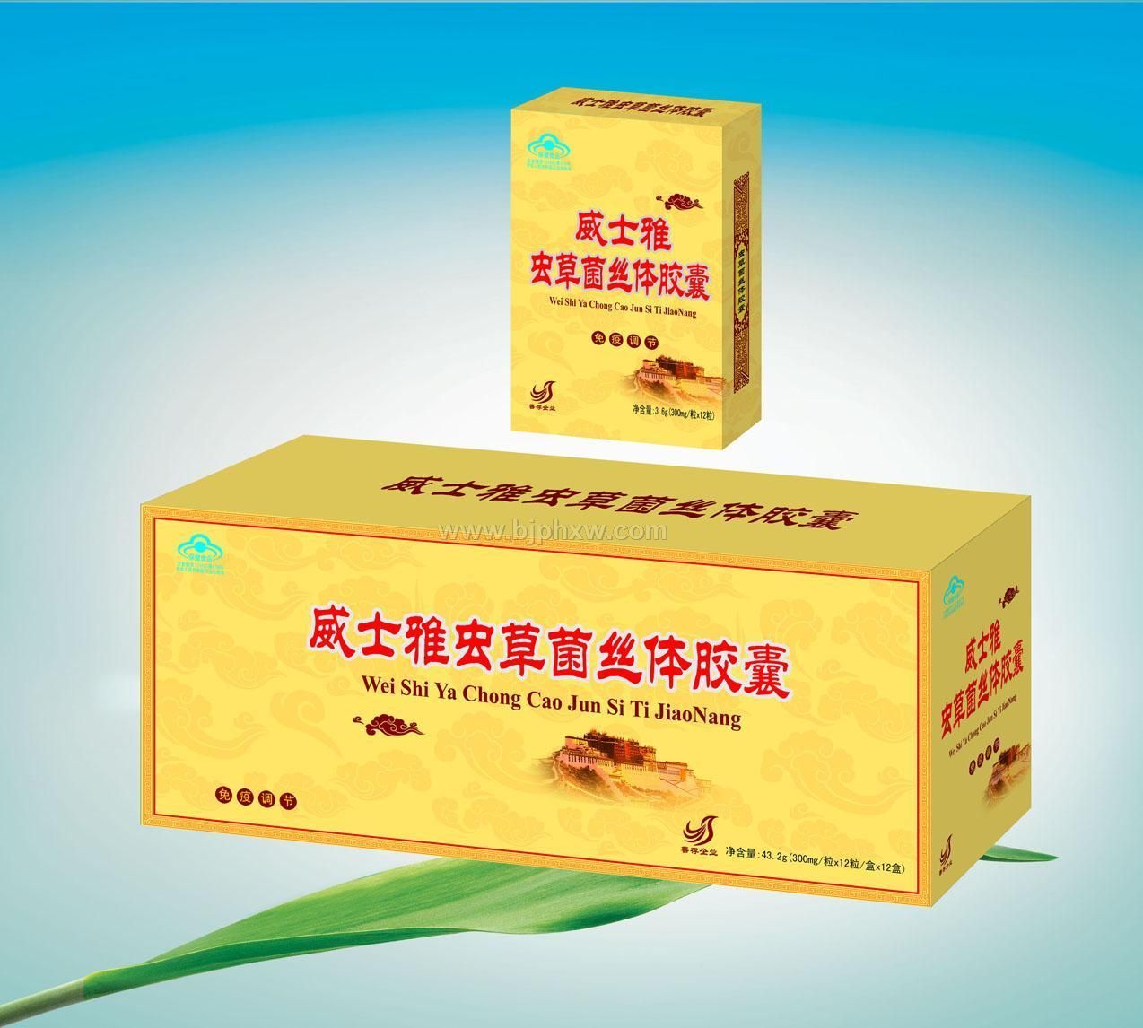 善存公司虫草菌丝体胶囊——华夏外用产品招商网