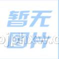 蓝莓叶黄素酯片 缓解视力疲劳