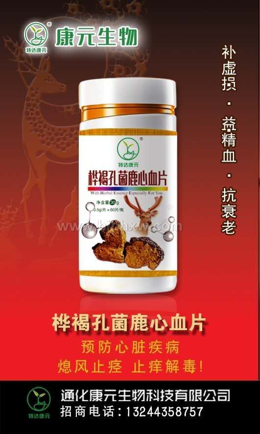 桦褐孔菌系列营养食品