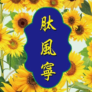 肽风宁——华夏外用产品招商网