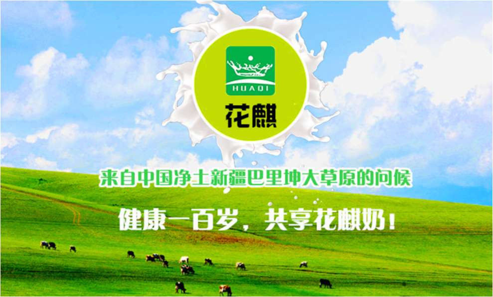 新疆骆驼奶粉——华夏外用产品招商网