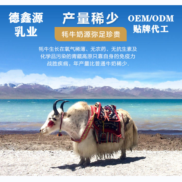 纯牦牛奶代工哪种好