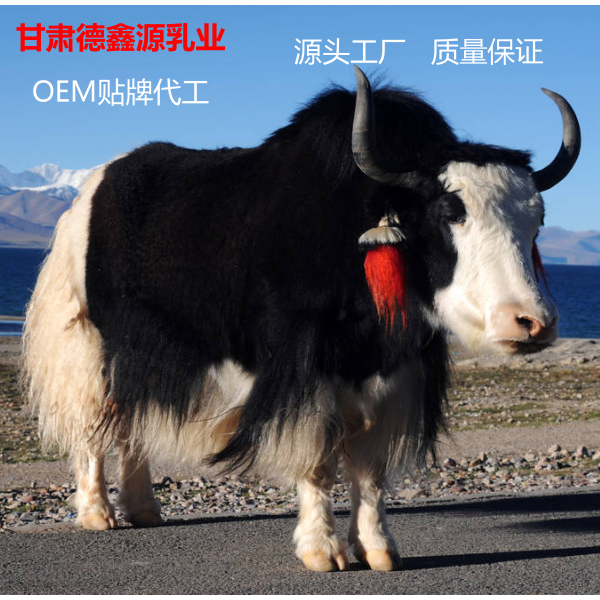 牦牛乳粉代工多少钱