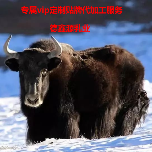 牦牛乳贴牌代加工厂家直供