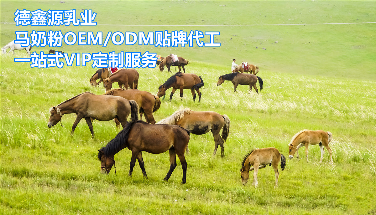 马奶粉代加工价格-马奶粉代加工生产厂家