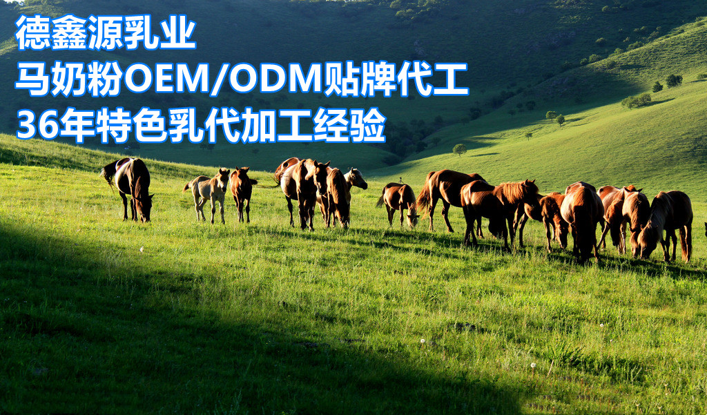 马奶ODM贴牌厂子-德鑫源乳业特色乳代加工