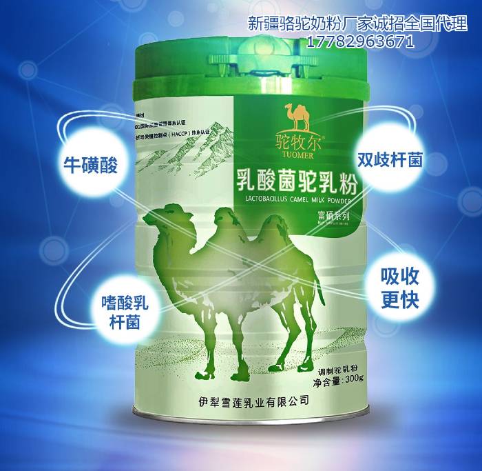 雪莲乳业驼牧尔乳酸菌配方驼乳粉骆驼奶粉招商贴牌代加工OEM