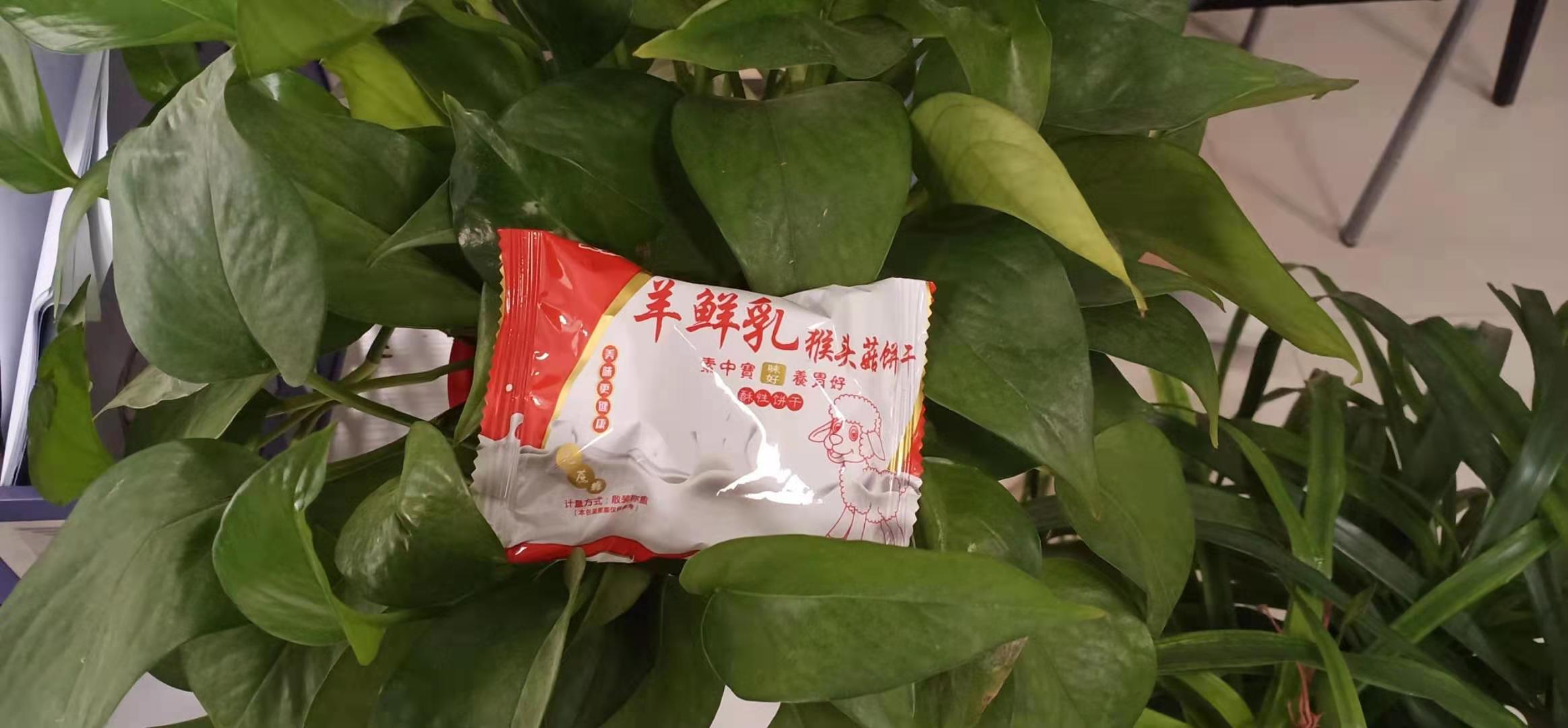 麦麦纳琪羊鲜乳猴头菇饼干货源