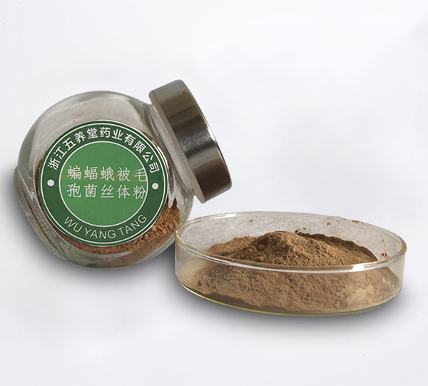 蝙蝠蛾被毛孢菌丝体粉（发酵冬虫夏草菌丝体粉）（浙江五养堂药业有限公司）——华夏外用产品招商网
