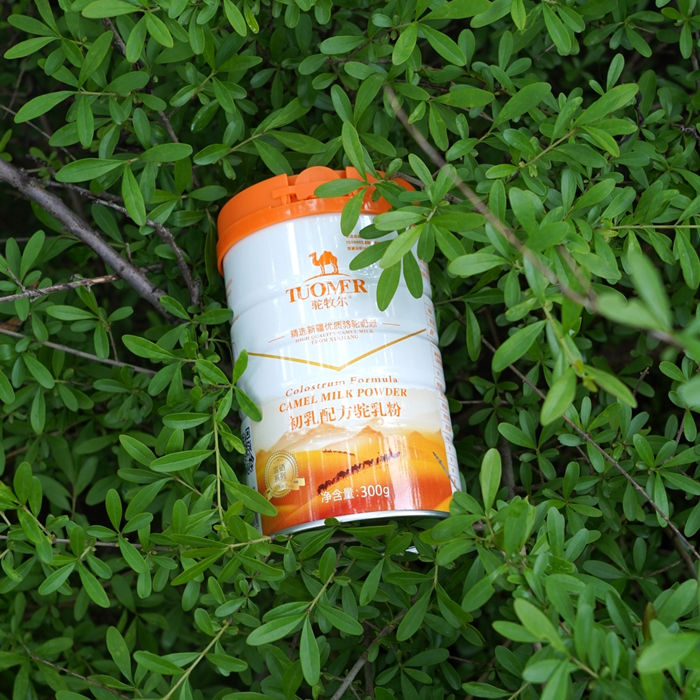 初乳骆驼奶粉批发 骆驼奶粉厂家