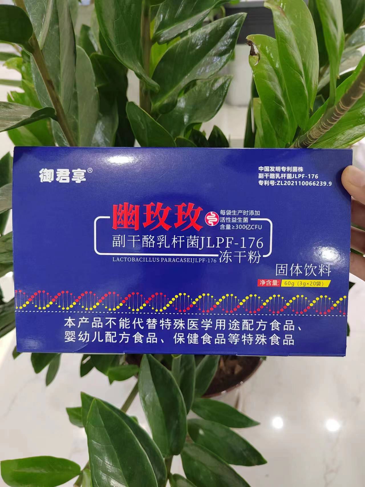 幽玫玫副干酪乳杆菌JLPF-176