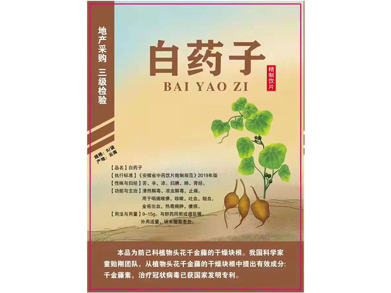 白药子